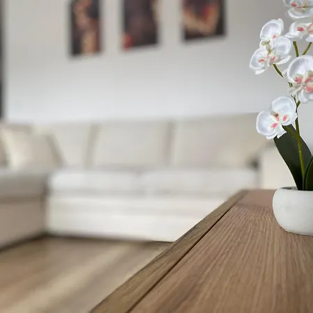 公寓 Go2nati 格但斯克